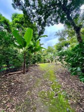 Finca de 9 manzanas a 25 minutos de Santa Tecla